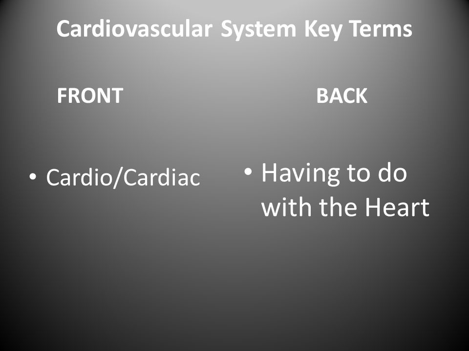 Cardiovascular System Key Terms FRONT Cardio/Cardiac BACK Having to do with the Heart