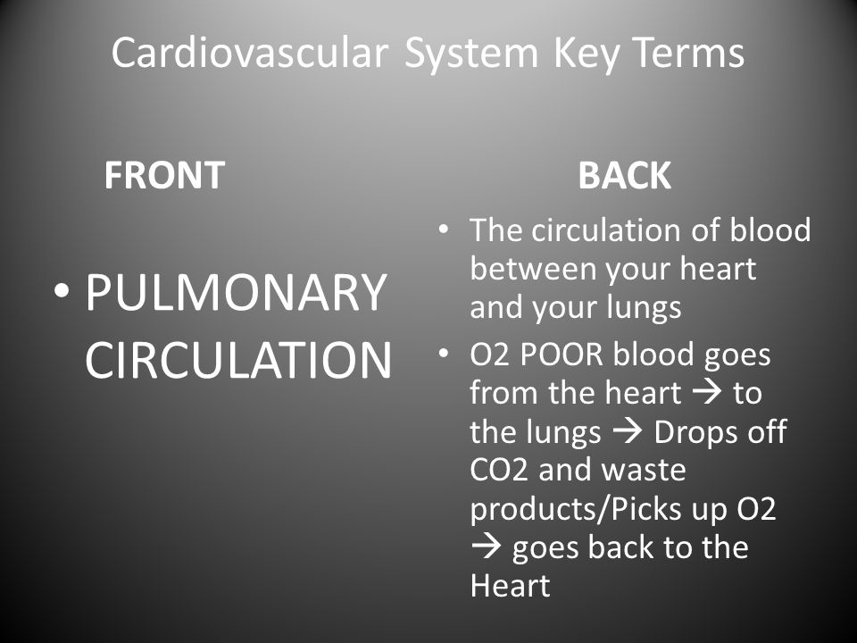 Cardiovascular System Key Terms FRONT PULMONARY CIRCULATION BACK The circulation of blood between your heart and your lungs O2 POOR blood goes from the heart  to the lungs  Drops off CO2 and waste products/Picks up O2  goes back to the Heart
