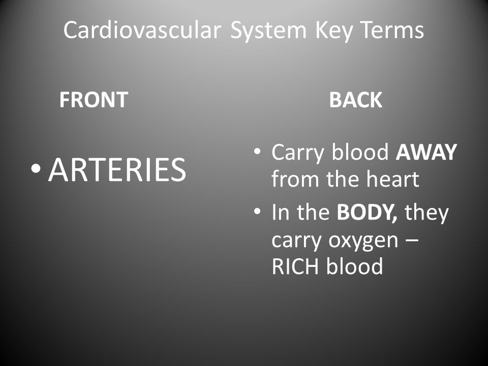 Cardiovascular System Key Terms FRONT ARTERIES BACK Carry blood AWAY from the heart In the BODY, they carry oxygen – RICH blood