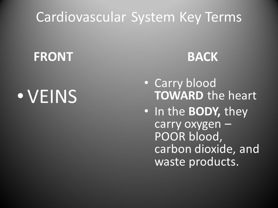 Cardiovascular System Key Terms FRONT VEINS BACK Carry blood TOWARD the heart In the BODY, they carry oxygen – POOR blood, carbon dioxide, and waste products.