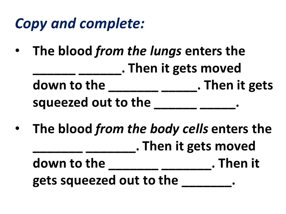Copy and complete: The blood from the lungs enters the ______ ______.