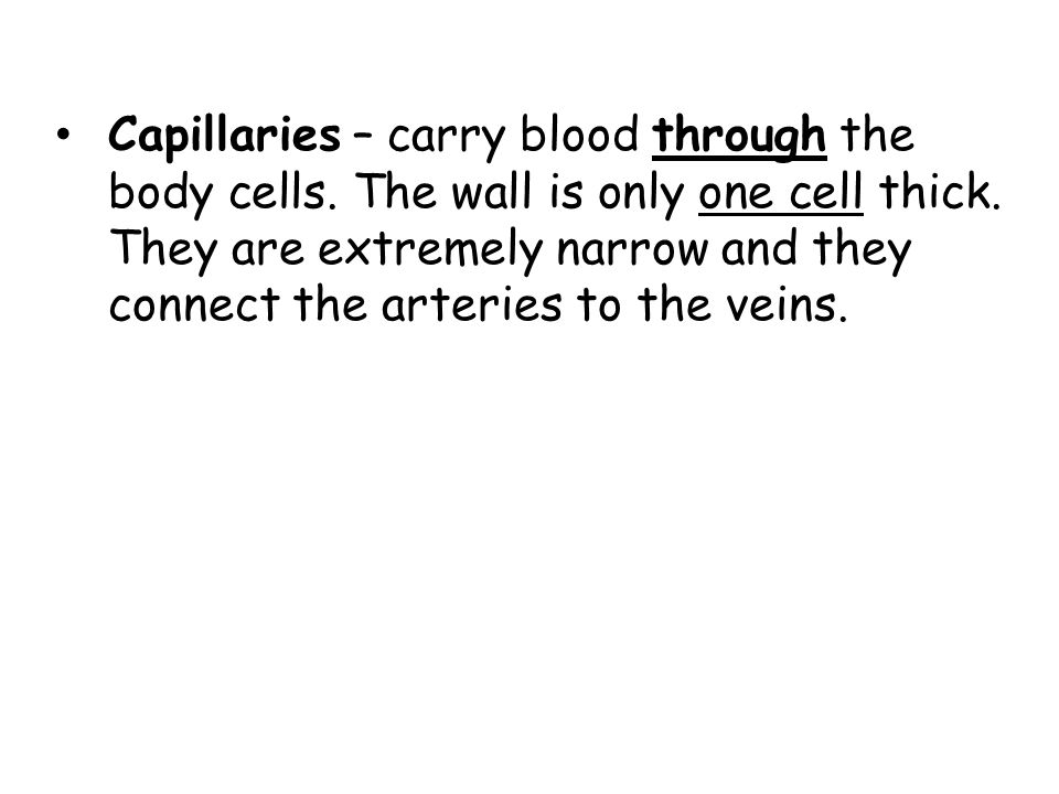 Capillaries – carry blood through the body cells. The wall is only one cell thick.