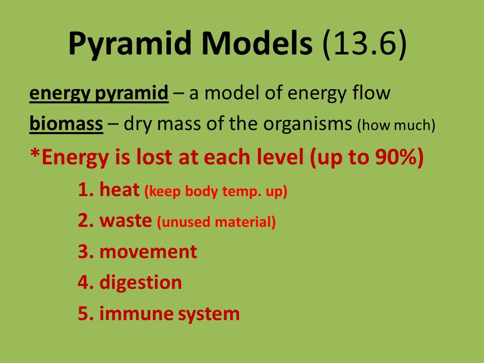 Pyramid Models (13.6) energy pyramid – a model of energy flow biomass – dry mass of the organisms (how much) *Energy is lost at each level (up to 90%) 1.