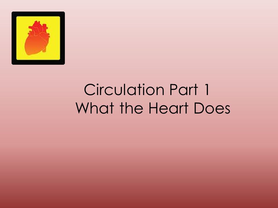 Circulation Part 1 What the Heart Does