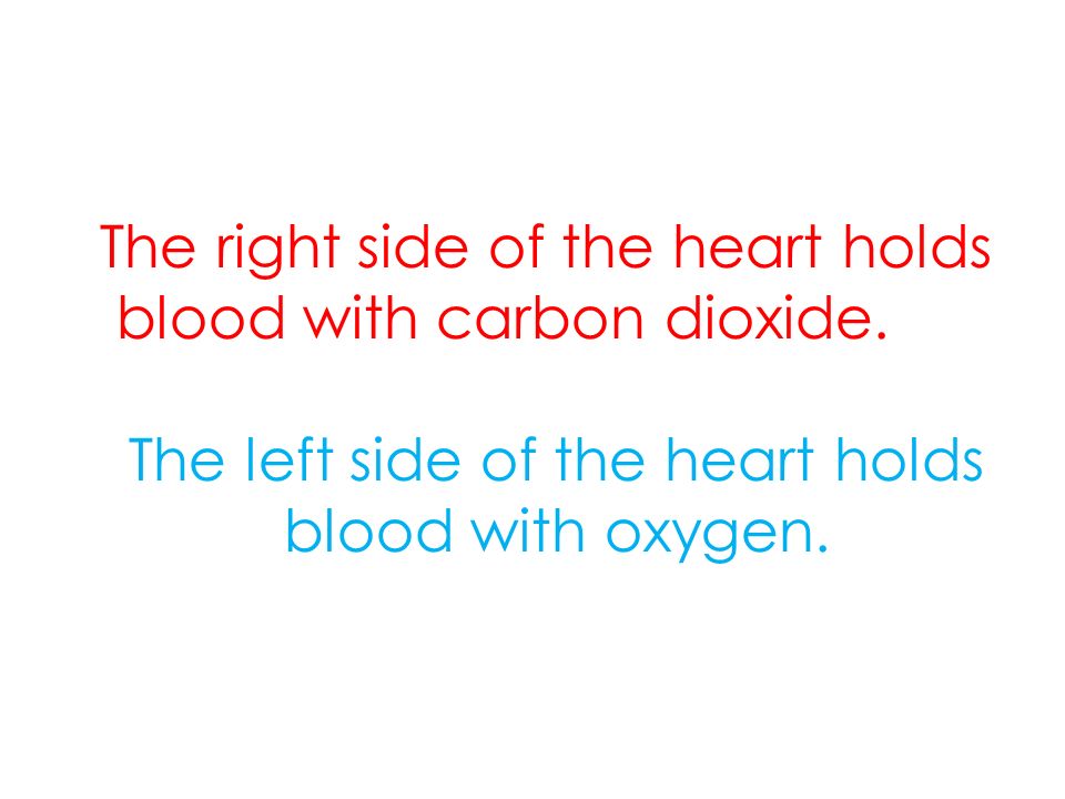 The right side of the heart holds blood with carbon dioxide.