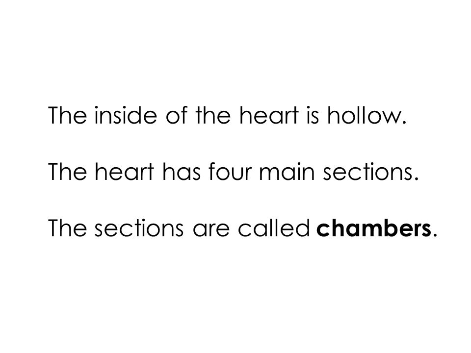 The inside of the heart is hollow. The heart has four main sections.