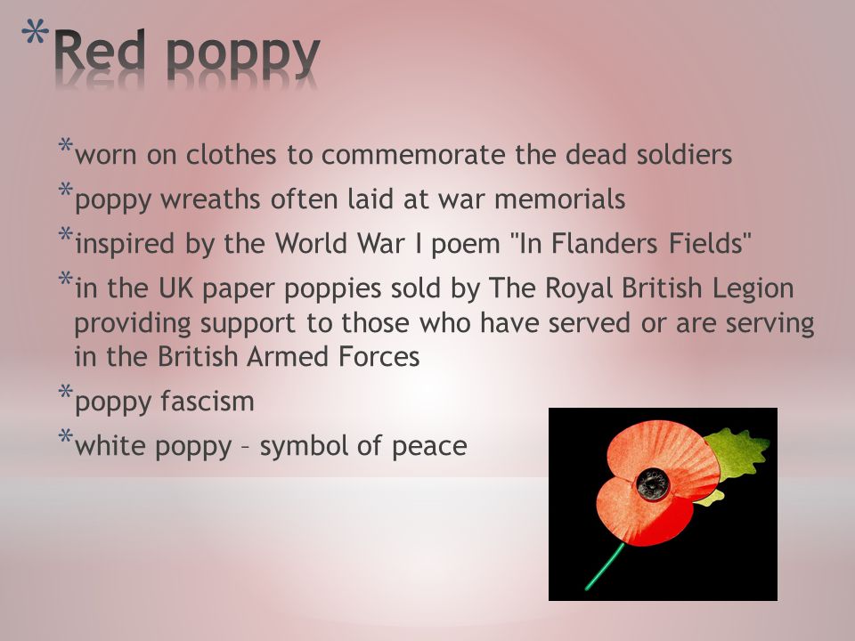 * worn on clothes to commemorate the dead soldiers * poppy wreaths often laid at war memorials * inspired by the World War I poem In Flanders Fields * in the UK paper poppies sold by The Royal British Legion providing support to those who have served or are serving in the British Armed Forces * poppy fascism * white poppy – symbol of peace