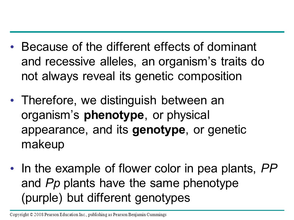Because of the different effects of dominant and recessive alleles, an organism’s traits do not always reveal its genetic composition Therefore, we distinguish between an organism’s phenotype, or physical appearance, and its genotype, or genetic makeup In the example of flower color in pea plants, PP and Pp plants have the same phenotype (purple) but different genotypes Copyright © 2008 Pearson Education Inc., publishing as Pearson Benjamin Cummings