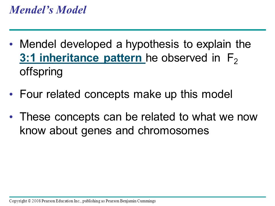 Mendel’s Model Mendel developed a hypothesis to explain the 3:1 inheritance pattern he observed in F 2 offspring Four related concepts make up this model These concepts can be related to what we now know about genes and chromosomes Copyright © 2008 Pearson Education Inc., publishing as Pearson Benjamin Cummings