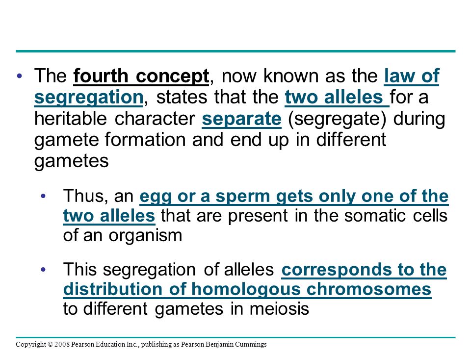 The fourth concept, now known as the law of segregation, states that the two alleles for a heritable character separate (segregate) during gamete formation and end up in different gametes Thus, an egg or a sperm gets only one of the two alleles that are present in the somatic cells of an organism This segregation of alleles corresponds to the distribution of homologous chromosomes to different gametes in meiosis Copyright © 2008 Pearson Education Inc., publishing as Pearson Benjamin Cummings