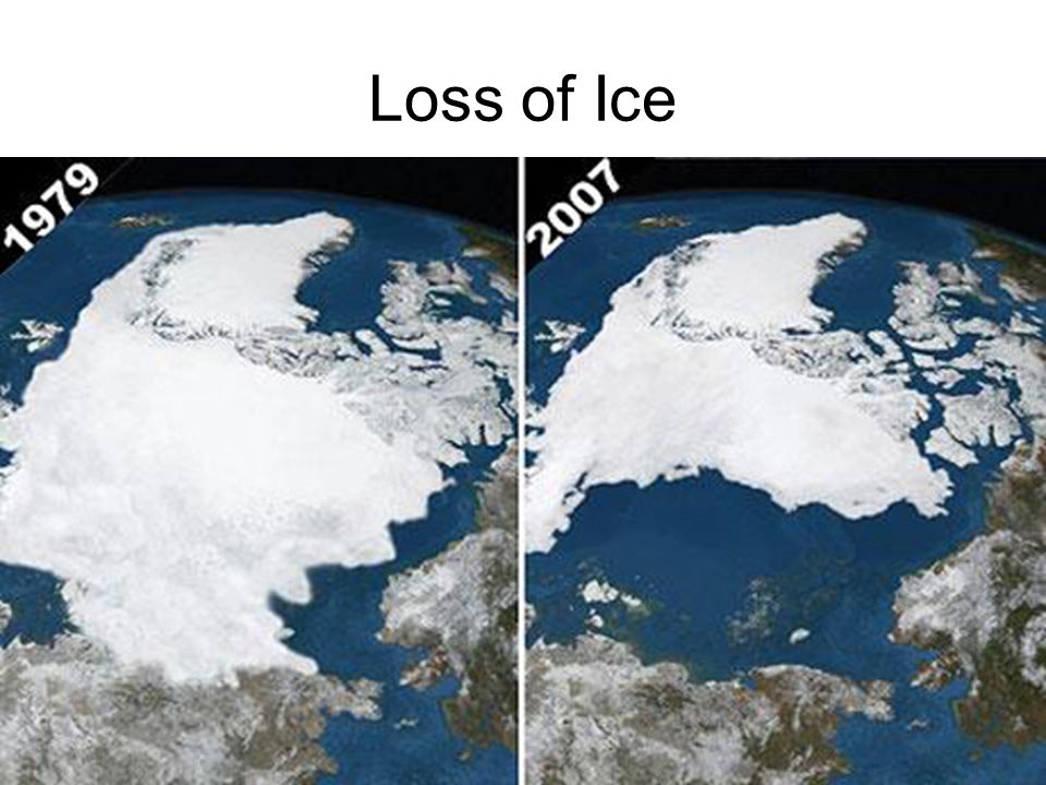 Loss of Ice