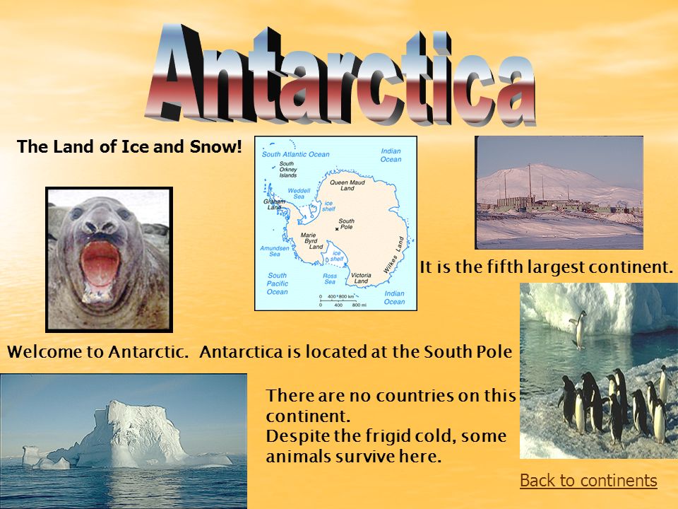 Back to continents The Land of Ice and Snow. Welcome to Antarctic.
