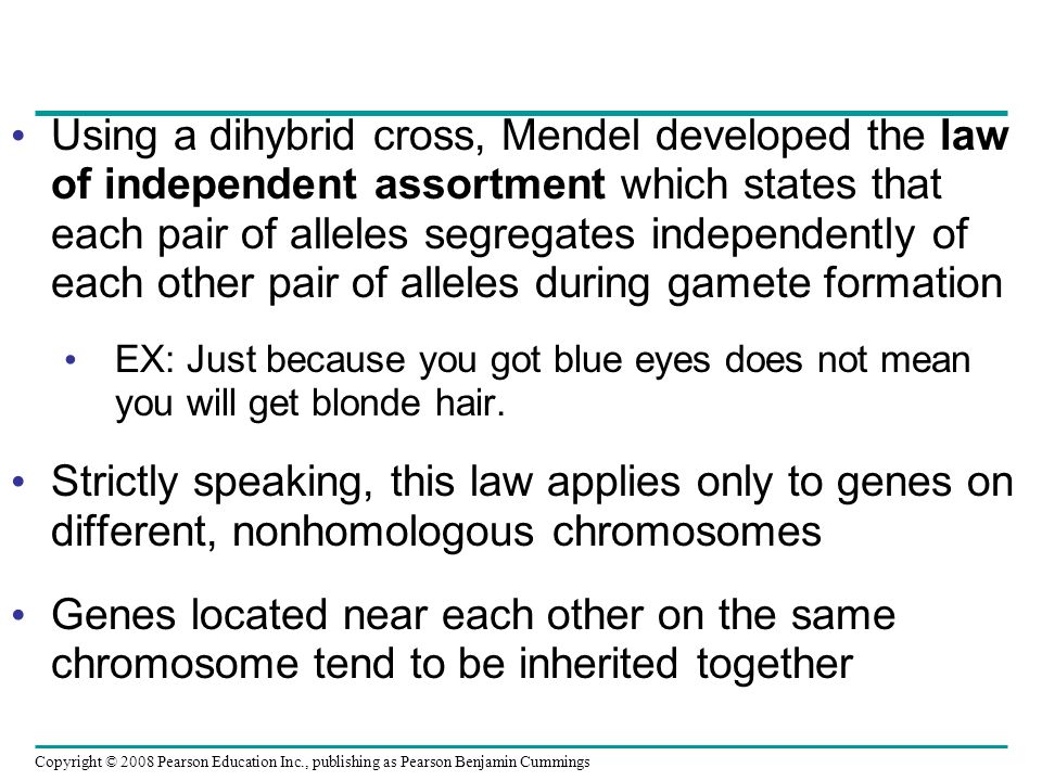 Using a dihybrid cross, Mendel developed the law of independent assortment which states that each pair of alleles segregates independently of each other pair of alleles during gamete formation EX: Just because you got blue eyes does not mean you will get blonde hair.