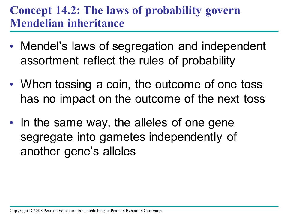 Concept 14.2: The laws of probability govern Mendelian inheritance Mendel’s laws of segregation and independent assortment reflect the rules of probability When tossing a coin, the outcome of one toss has no impact on the outcome of the next toss In the same way, the alleles of one gene segregate into gametes independently of another gene’s alleles Copyright © 2008 Pearson Education Inc., publishing as Pearson Benjamin Cummings
