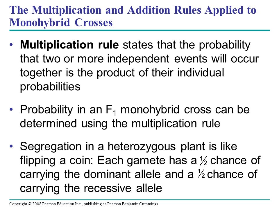 Multiplication rule states that the probability that two or more independent events will occur together is the product of their individual probabilities Probability in an F 1 monohybrid cross can be determined using the multiplication rule Segregation in a heterozygous plant is like flipping a coin: Each gamete has a chance of carrying the dominant allele and a chance of carrying the recessive allele The Multiplication and Addition Rules Applied to Monohybrid Crosses Copyright © 2008 Pearson Education Inc., publishing as Pearson Benjamin Cummings