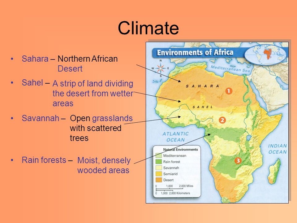 Climate Sahara – Sahel – Savannah – Rain forests – Northern African Desert A strip of land dividing the desert from wetter areas Open grasslands with scattered trees Moist, densely wooded areas