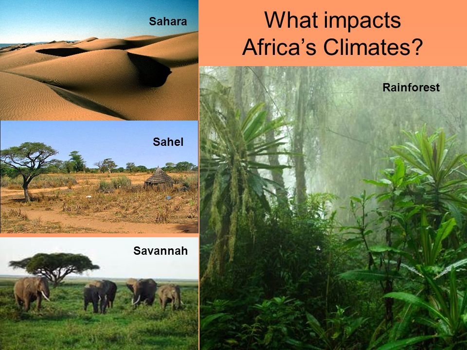 Sahel Savannah Sahara Rainforest What impacts Africa’s Climates