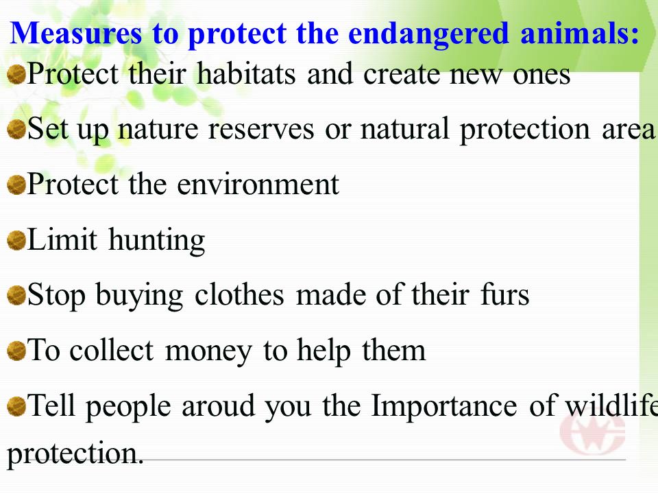 Unit 4 Wildlife Protection Defination of wildlife animals or plants which  live or grow in natural conditions Look at some pictures. - ppt download