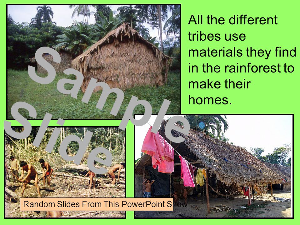 All the different tribes use materials they find in the rainforest to make their homes.