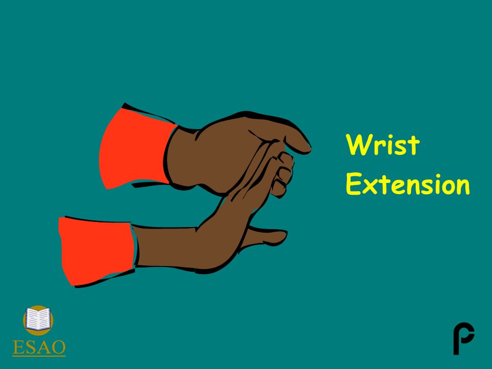Wrist Extension
