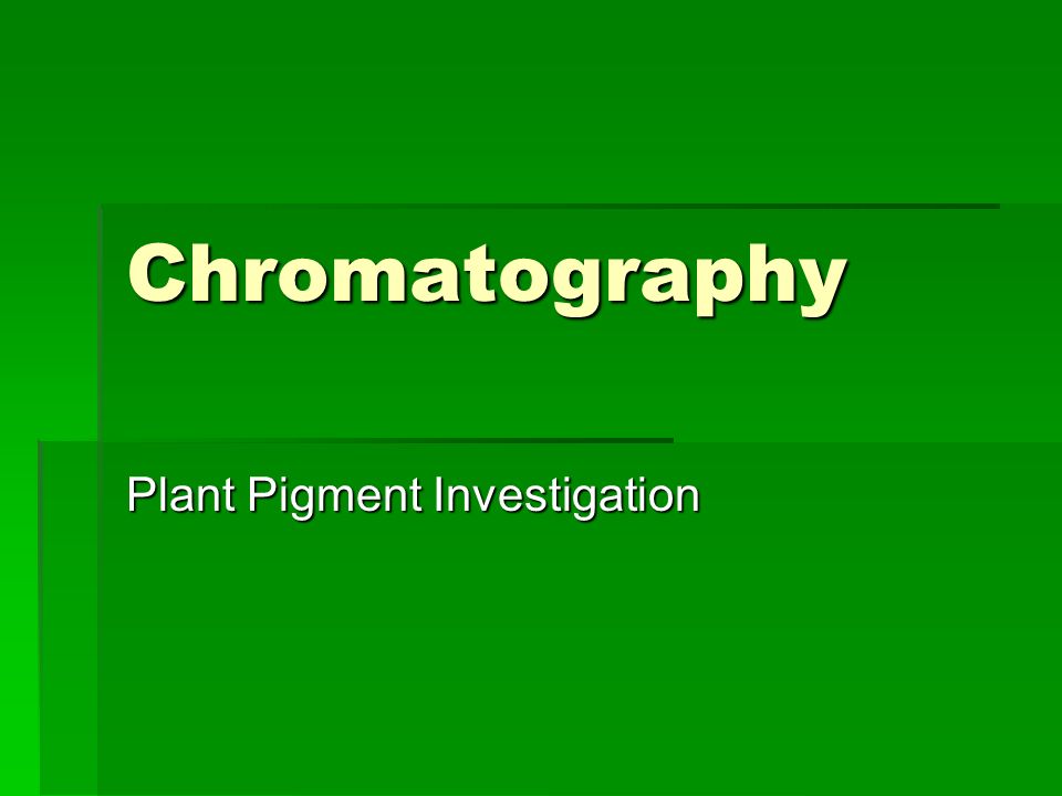 photosynthetic pigments lab