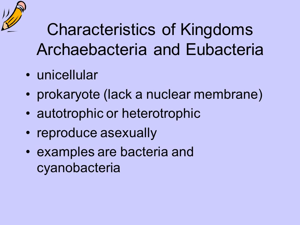 the 6 kingdoms most biologists use the following six examples of archaebacteria
