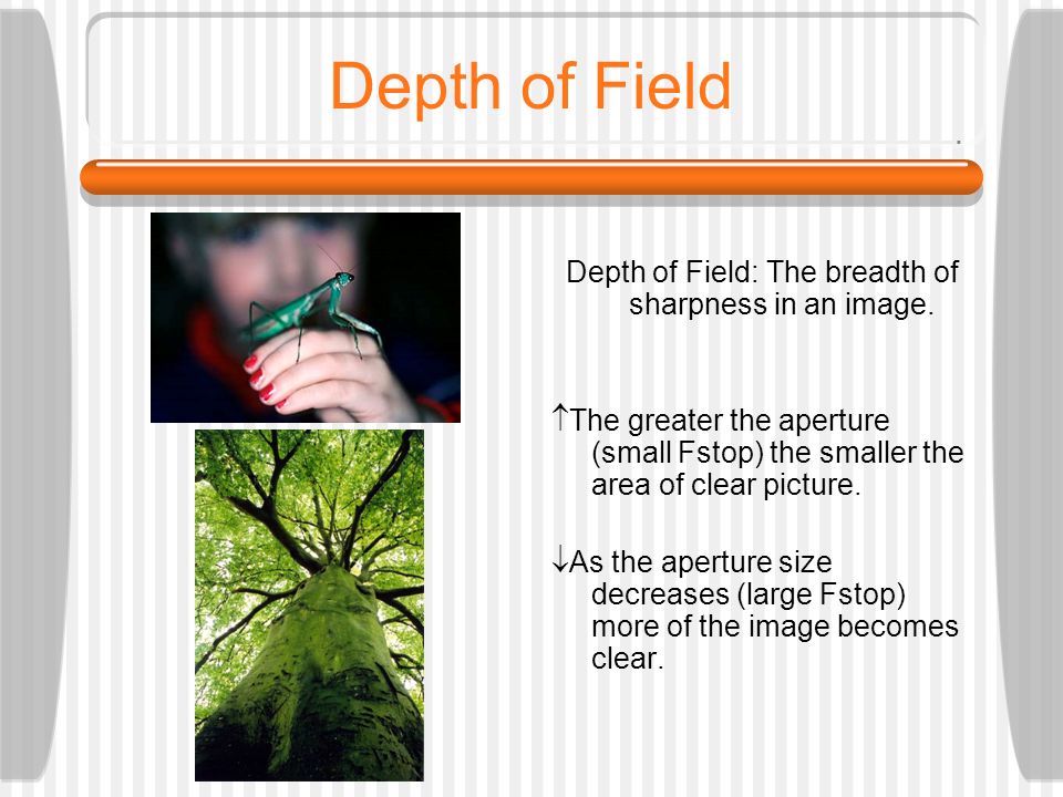 Depth of Field Depth of Field: The breadth of sharpness in an image.
