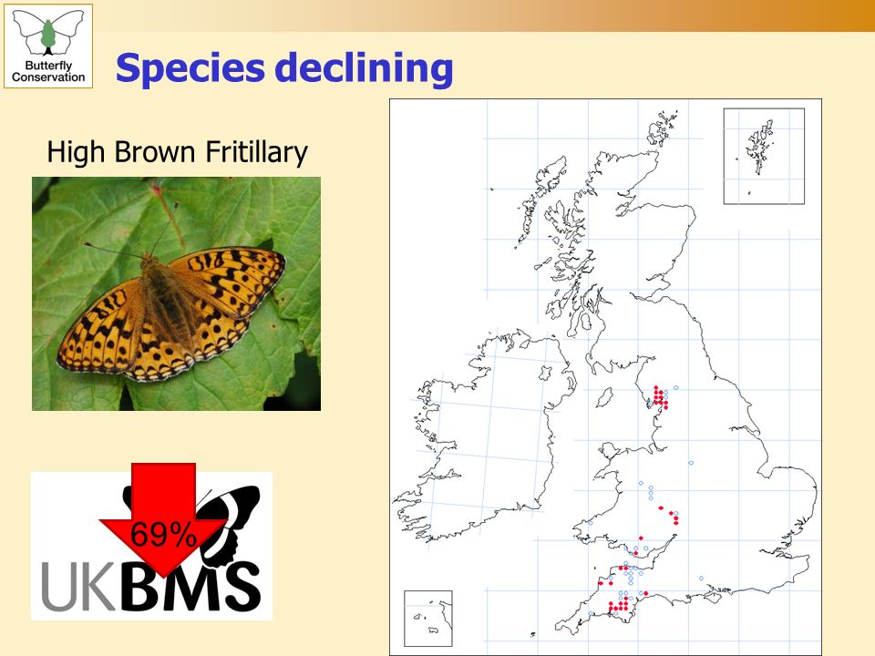 Species declining %69% High Brown Fritillary