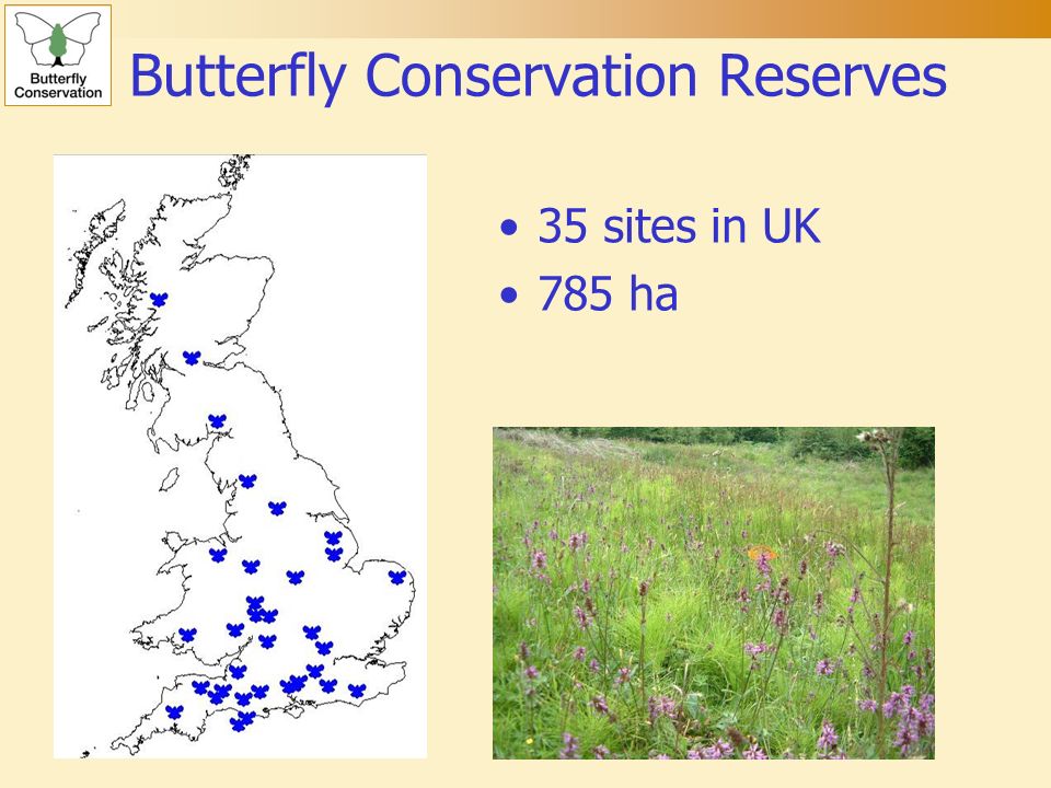 Butterfly Conservation Reserves 35 sites in UK 785 ha