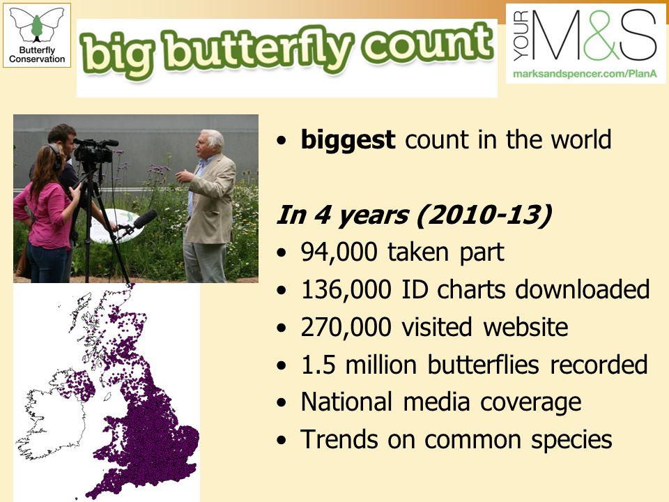 biggest count in the world In 4 years ( ) 94,000 taken part 136,000 ID charts downloaded 270,000 visited website 1.5 million butterflies recorded National media coverage Trends on common species