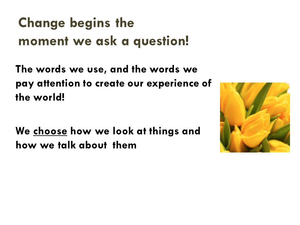 Change begins the moment we ask a question.