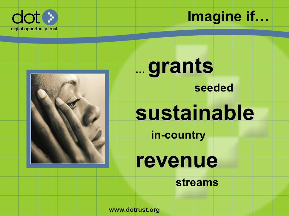 Imagine if… grants … grants seededsustainable in-countryrevenue streams
