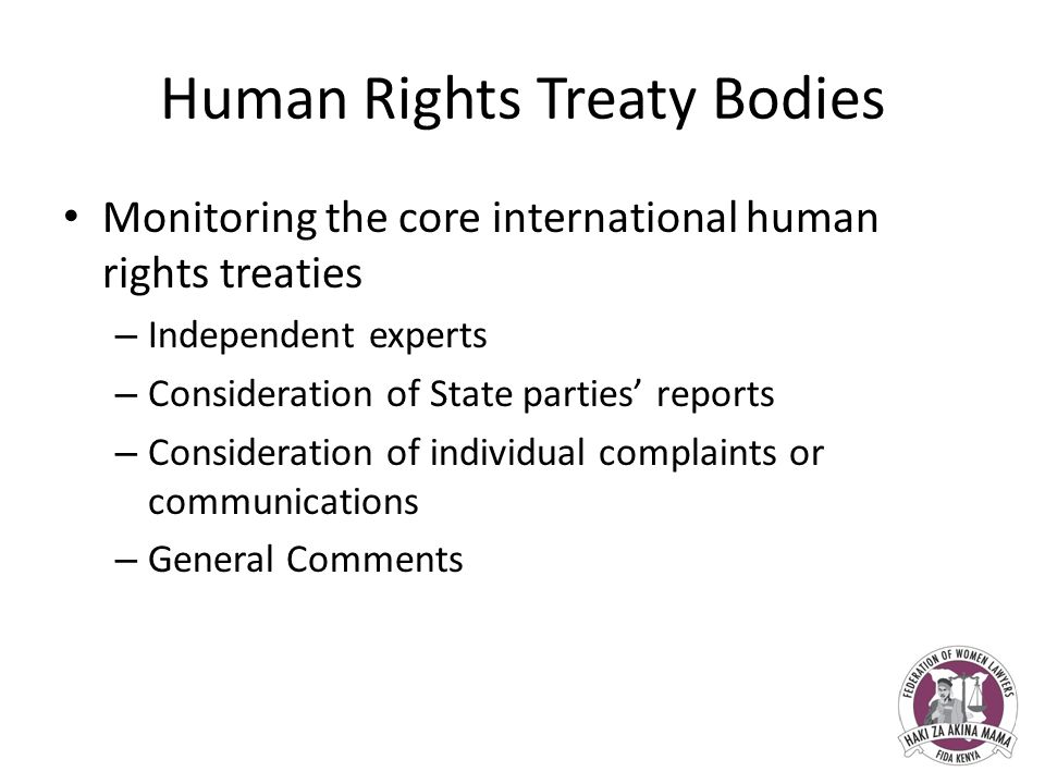Human Rights Treaty Bodies Monitoring the core international human rights treaties – Independent experts – Consideration of State parties’ reports – Consideration of individual complaints or communications – General Comments