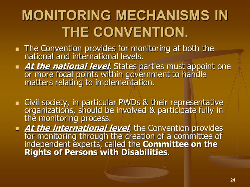 24 MONITORING MECHANISMS IN THE CONVENTION.
