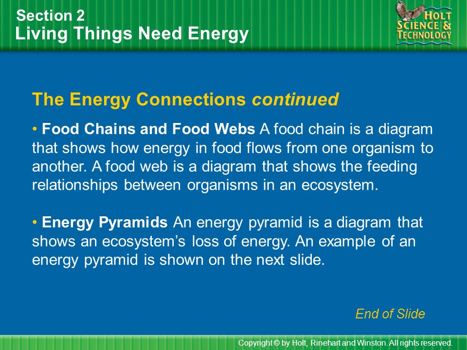 Living Things Need Energy Section 2 The Energy Connections continued Food Chains and Food Webs A food chain is a diagram that shows how energy in food flows from one organism to another.