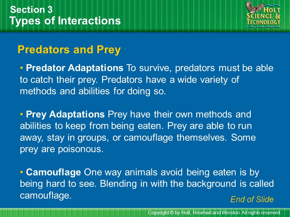 Types of Interactions Section 3 Predators and Prey Copyright © by Holt, Rinehart and Winston.