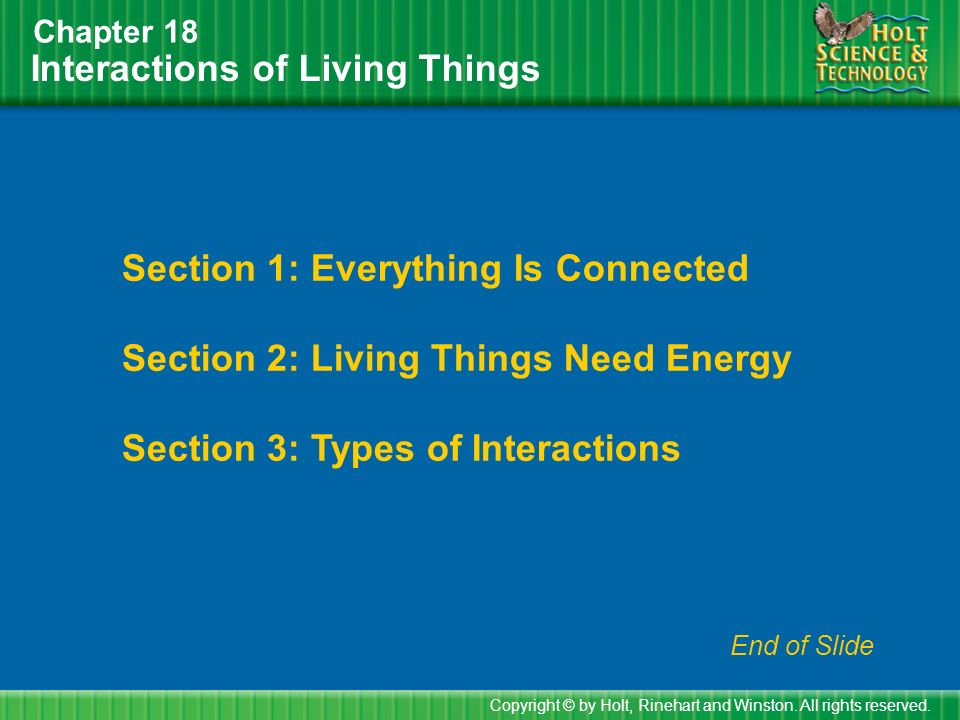 Interactions of Living Things Chapter 18 Section 1: Everything Is Connected Section 2: Living Things Need Energy Section 3: Types of Interactions Copyright © by Holt, Rinehart and Winston.