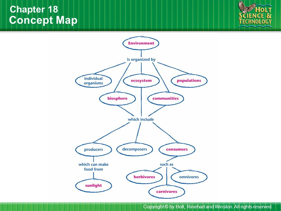 Concept Map Chapter 18 Copyright © by Holt, Rinehart and Winston. All rights reserved.