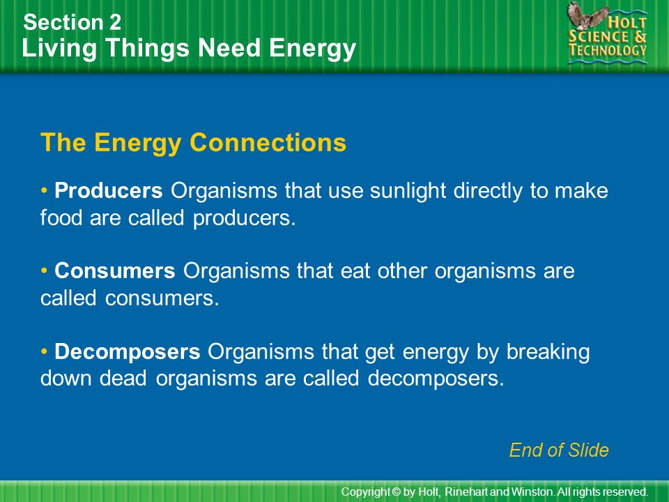 Living Things Need Energy Section 2 The Energy Connections Producers Organisms that use sunlight directly to make food are called producers.