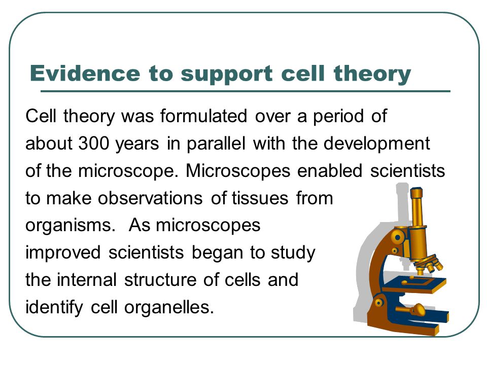 Patterns In Nature Cell Theory Cells Are The Smallest Living Units Of Organisms All Cells Come From Pre Existing Cells Each Organism Is Made Of One Ppt Download