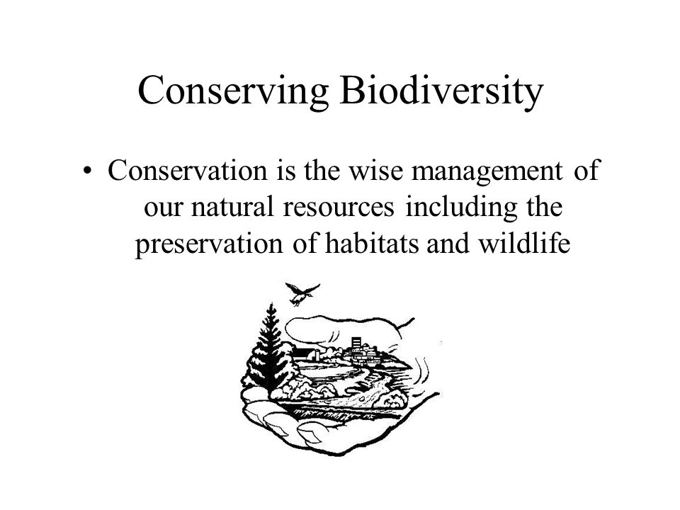 Conserving Biodiversity Conservation is the wise management of our natural resources including the preservation of habitats and wildlife