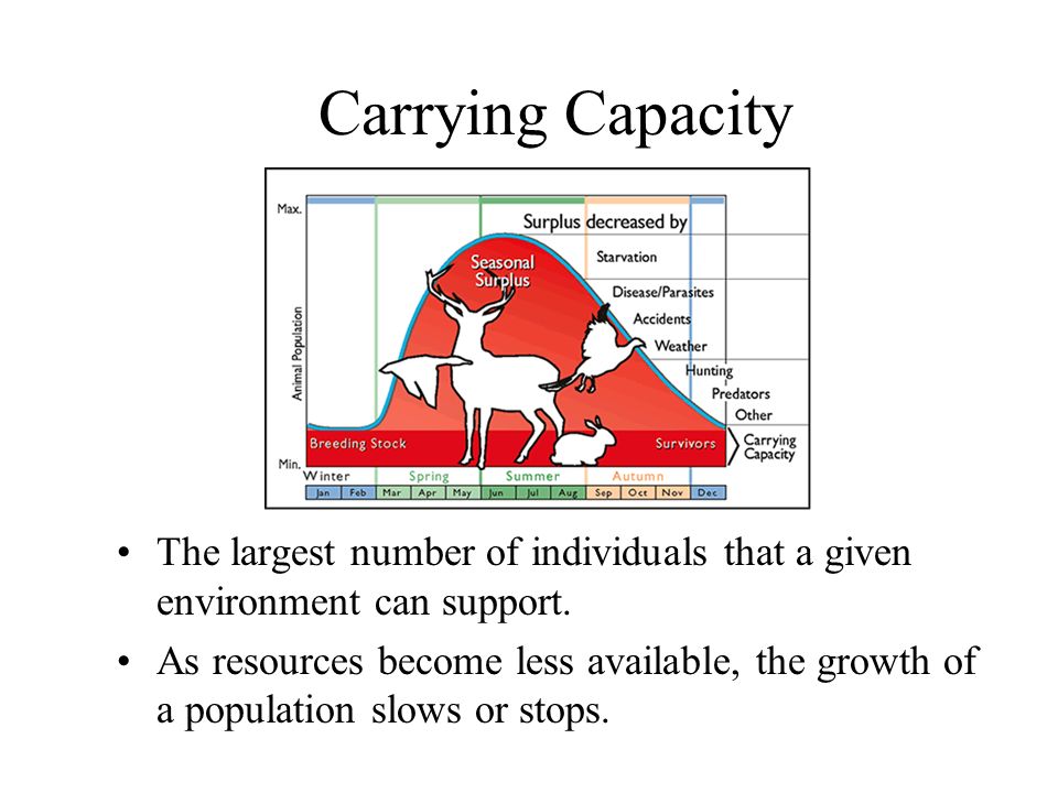 Carrying Capacity The largest number of individuals that a given environment can support.