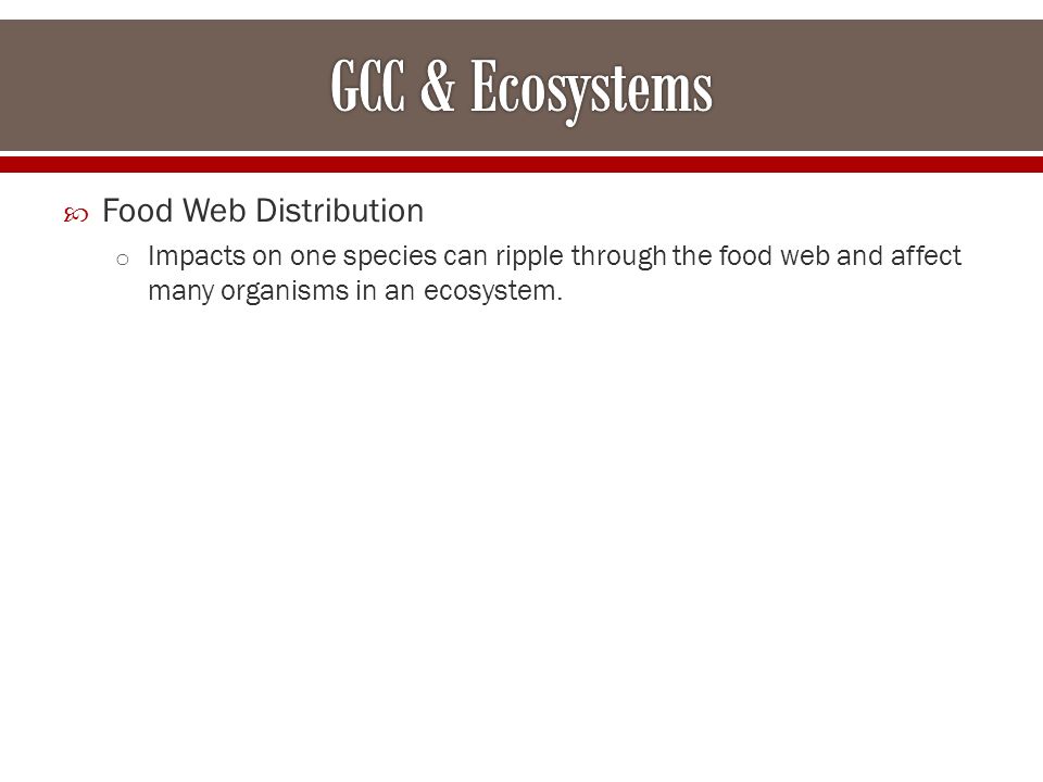  Food Web Distribution o Impacts on one species can ripple through the food web and affect many organisms in an ecosystem.