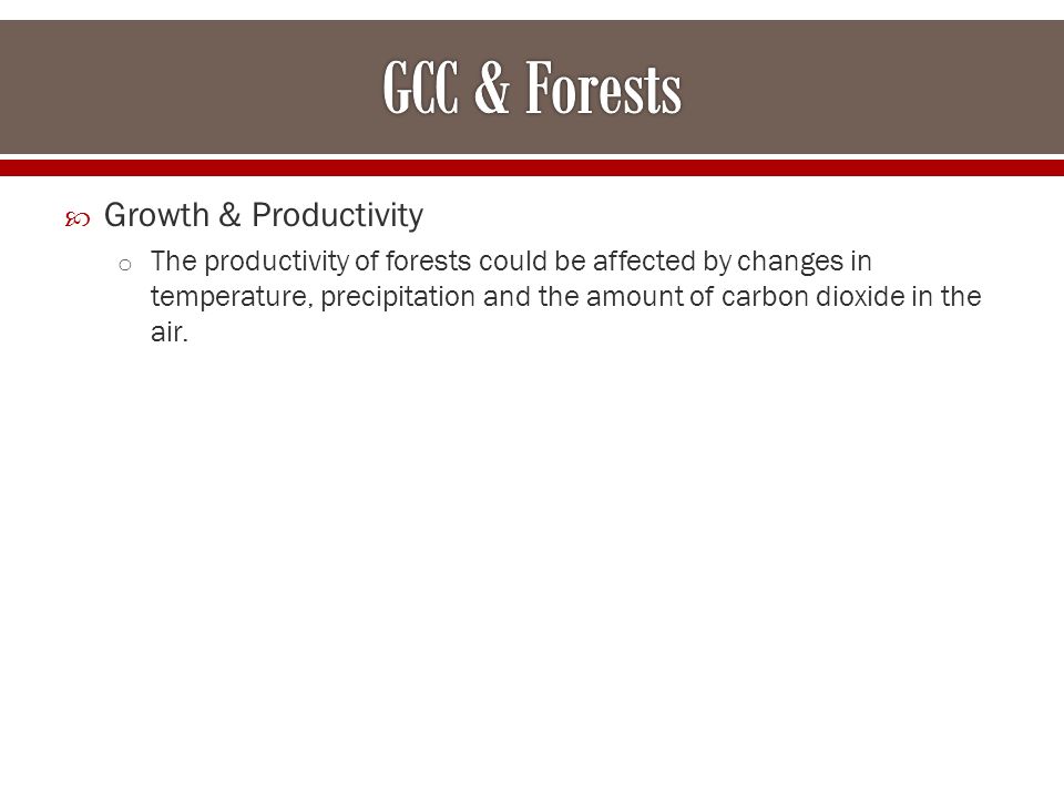  Growth & Productivity o The productivity of forests could be affected by changes in temperature, precipitation and the amount of carbon dioxide in the air.
