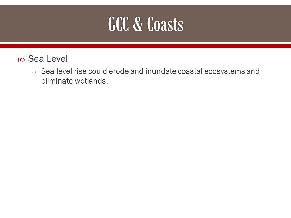  Sea Level o Sea level rise could erode and inundate coastal ecosystems and eliminate wetlands.