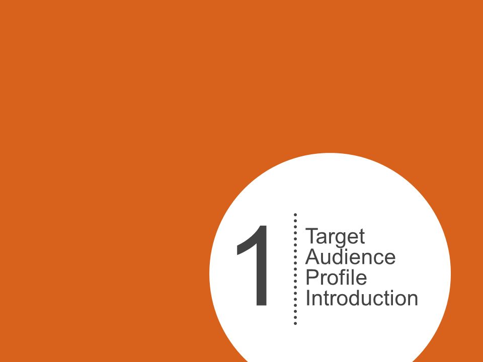 a network marketers template for creating a target audience profile target audience profile template