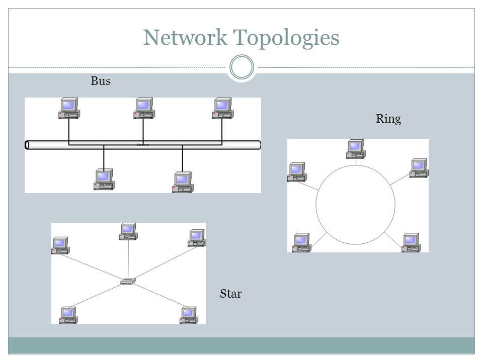 Network Topologies Bus Ring Star