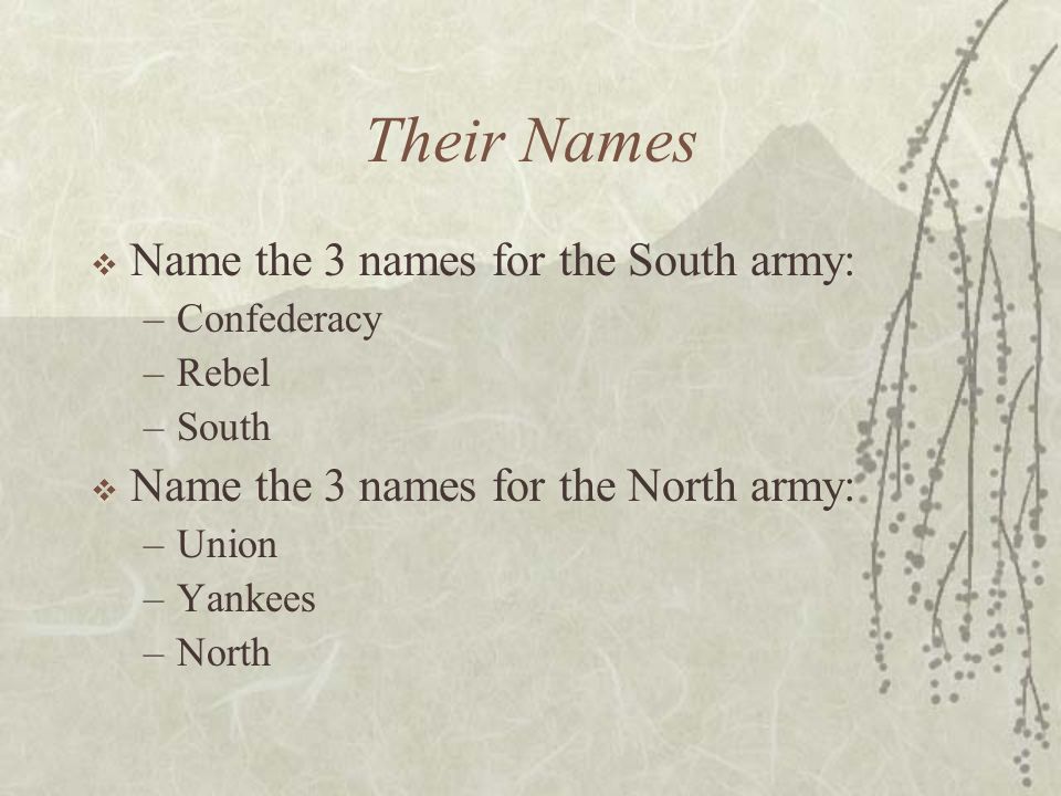 Their Names  Name the 3 names for the South army: –Confederacy –Rebel –South  Name the 3 names for the North army: –Union –Yankees –North