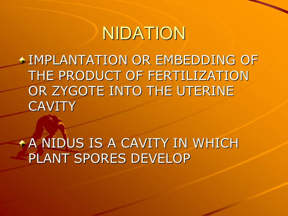 Conception Nidation And Placental Develop0ment Conception Fertilization Or Union Of The Male And Female Gametes Sperm And Ovum Same As Pregnancy Ppt Download