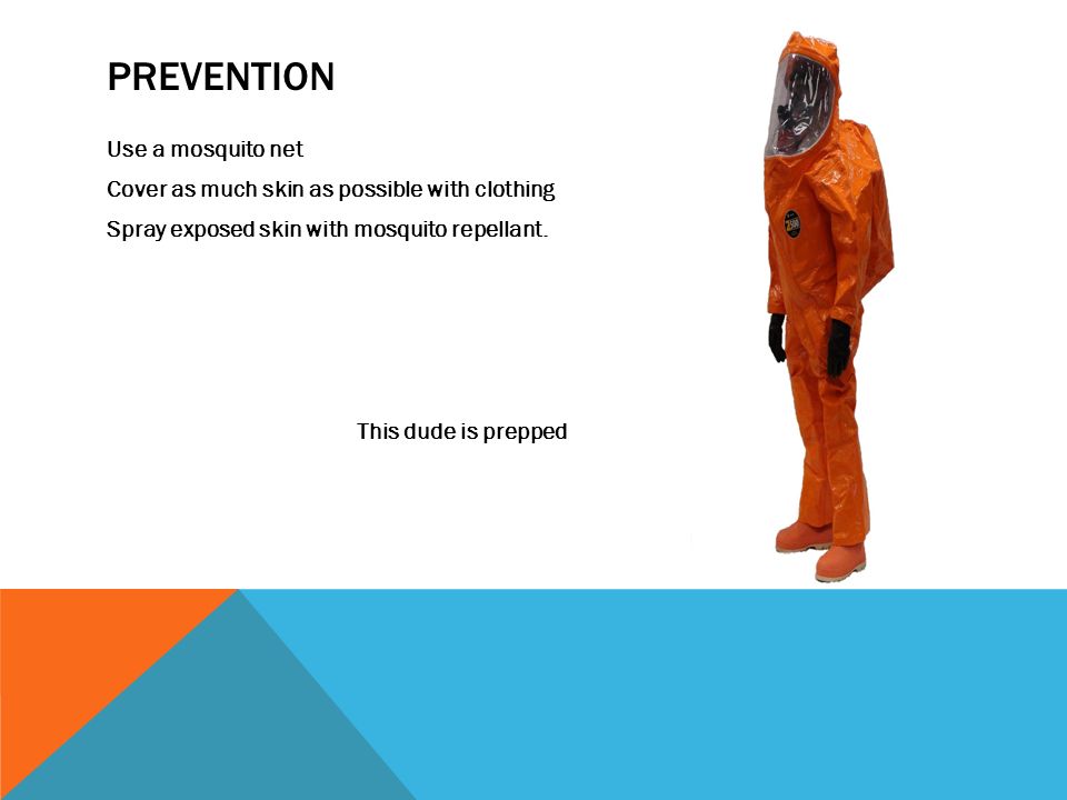 PREVENTION Use a mosquito net Cover as much skin as possible with clothing Spray exposed skin with mosquito repellant.